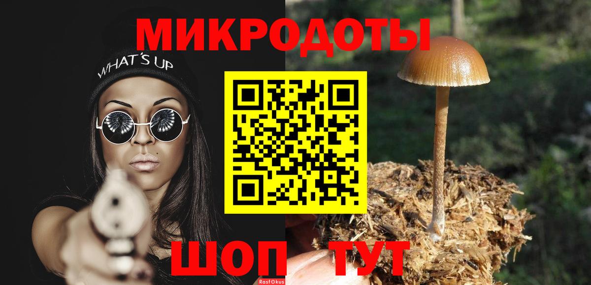 Псилоцибиновые грибы GOLDEN TEACHER Новотроицк